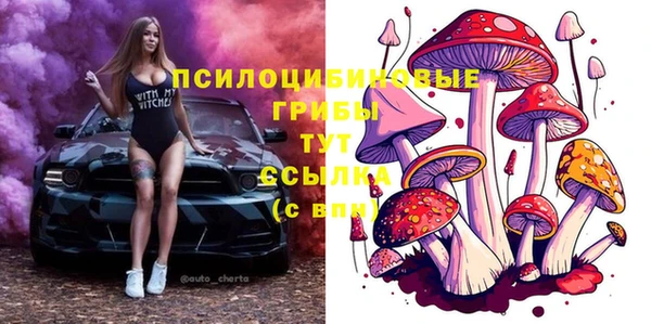 кокс Карпинск
