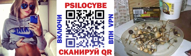 Галлюциногенные грибы MAGIC MUSHROOMS  Купить закладки  Кимовск 